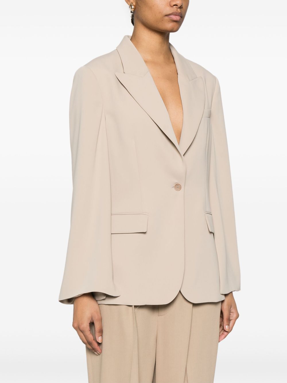 Parosh Single-Breasted Blazer Parosh