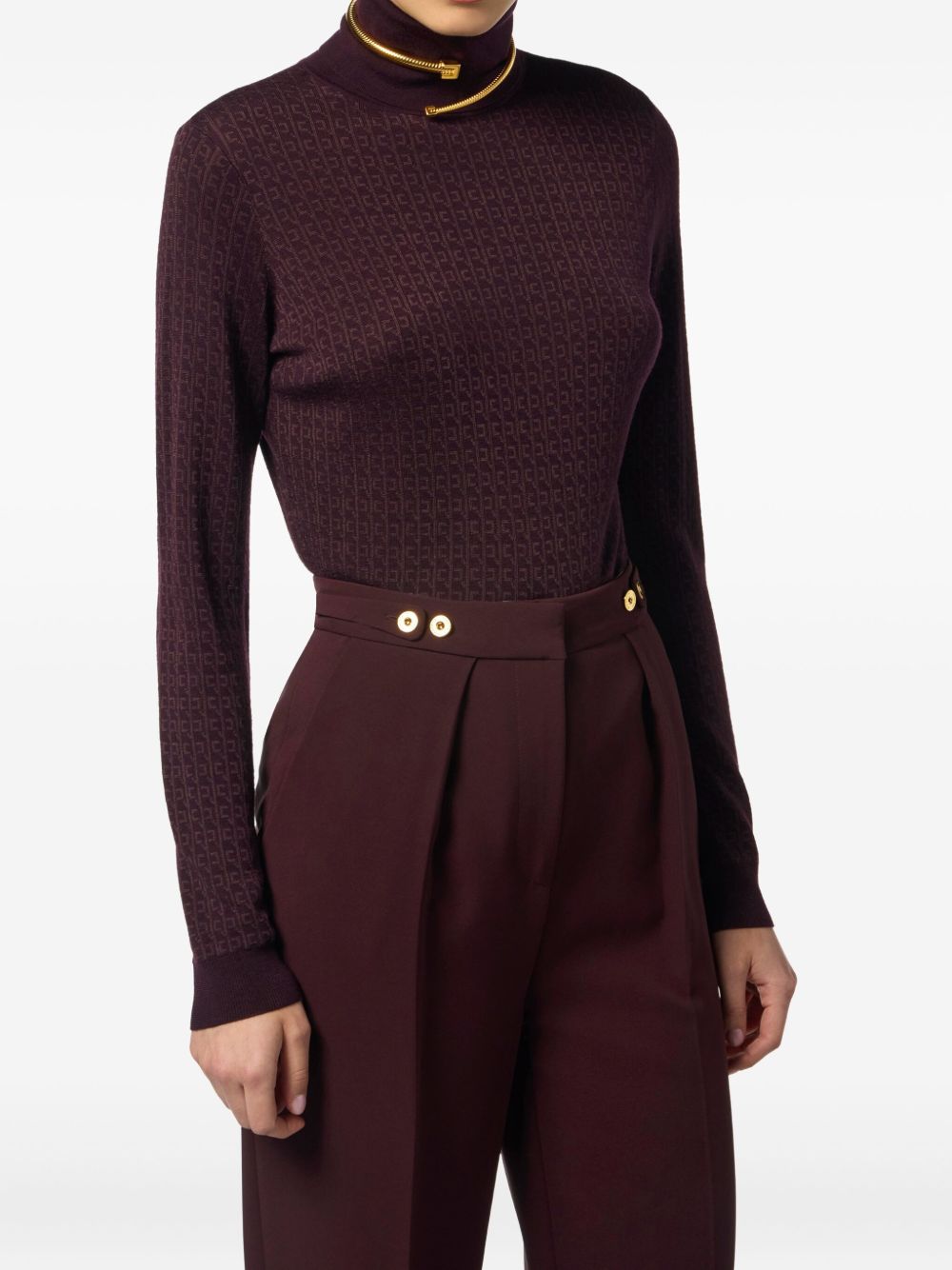 Elisabetta Franchi Sweaters Bordeaux Elisabetta Franchi