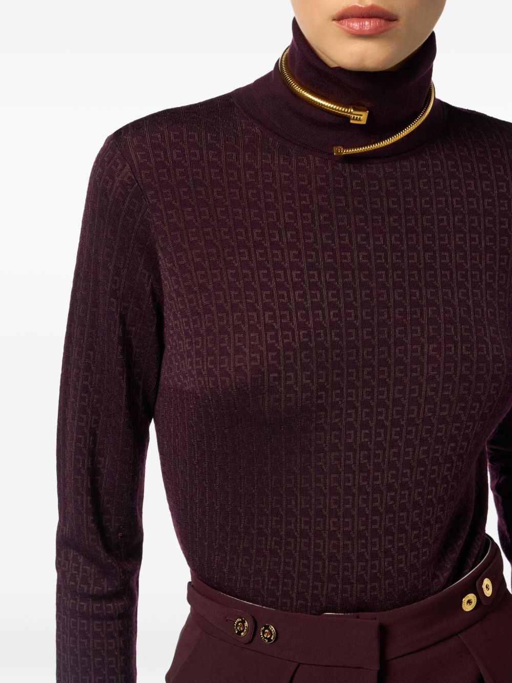Elisabetta Franchi Sweaters Bordeaux Elisabetta Franchi