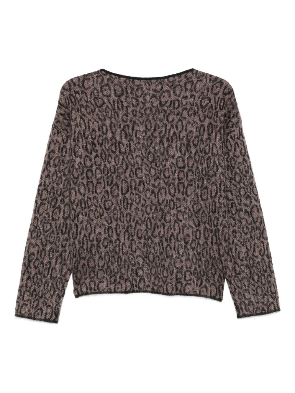 Emporio Armani Leopard-print crew-neck sweater Emporio Armani