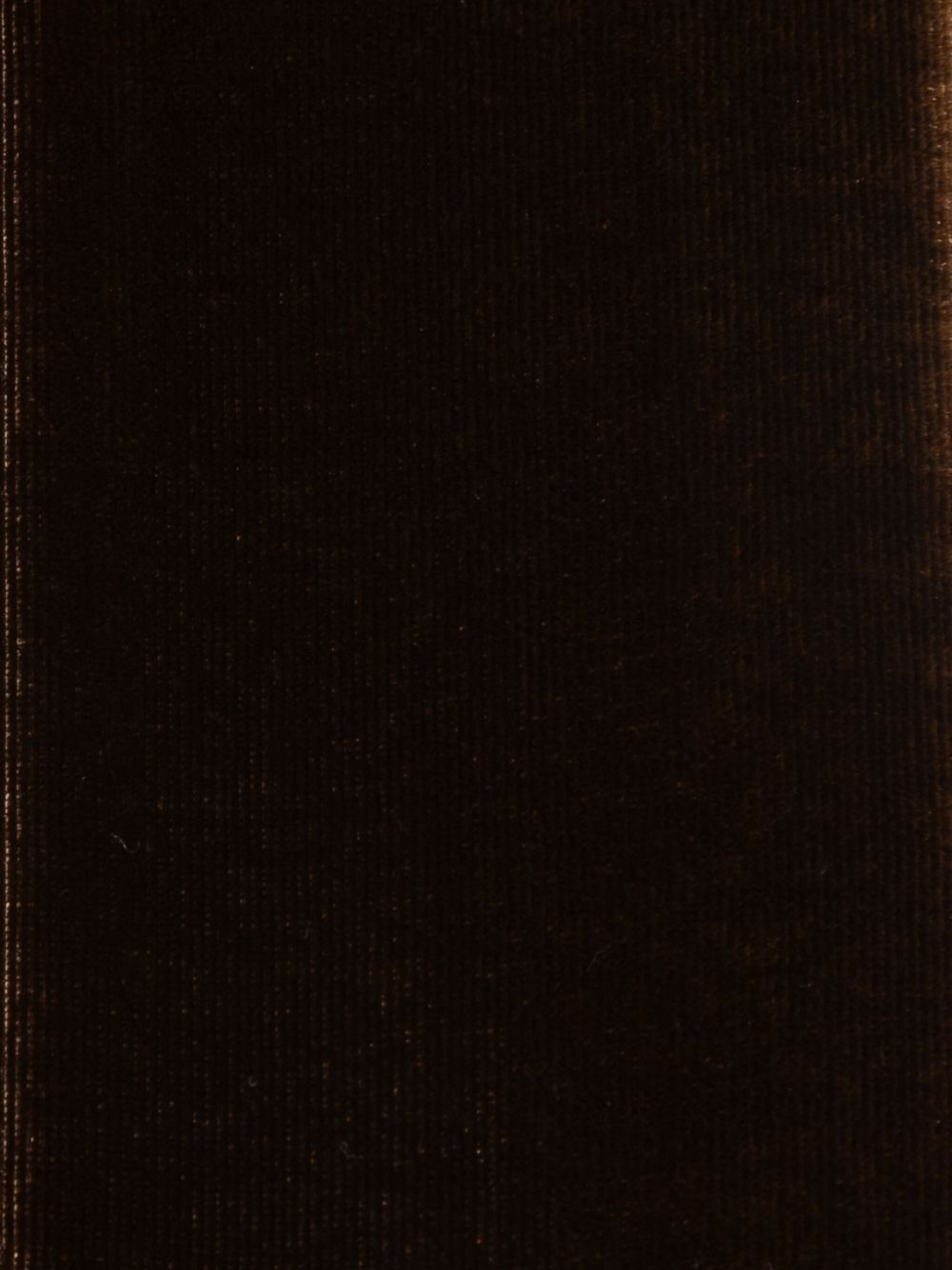 Emporio Armani Scarfs Brown Emporio Armani