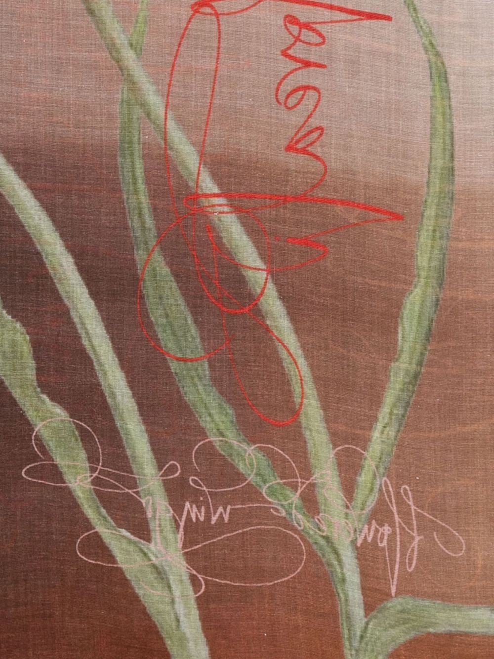 Faliero Sarti Scarfs MultiColour Faliero Sarti