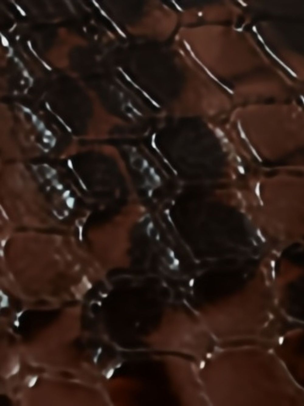 Stella McCartney Sneakers Brown Stella McCartney