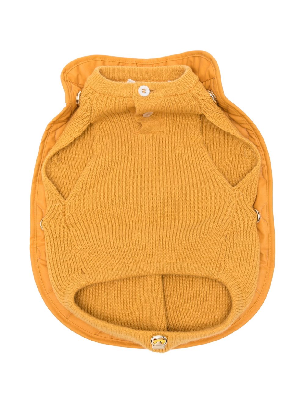POLDO DOG COUTURE Accessories Orange POLDO DOG COUTURE