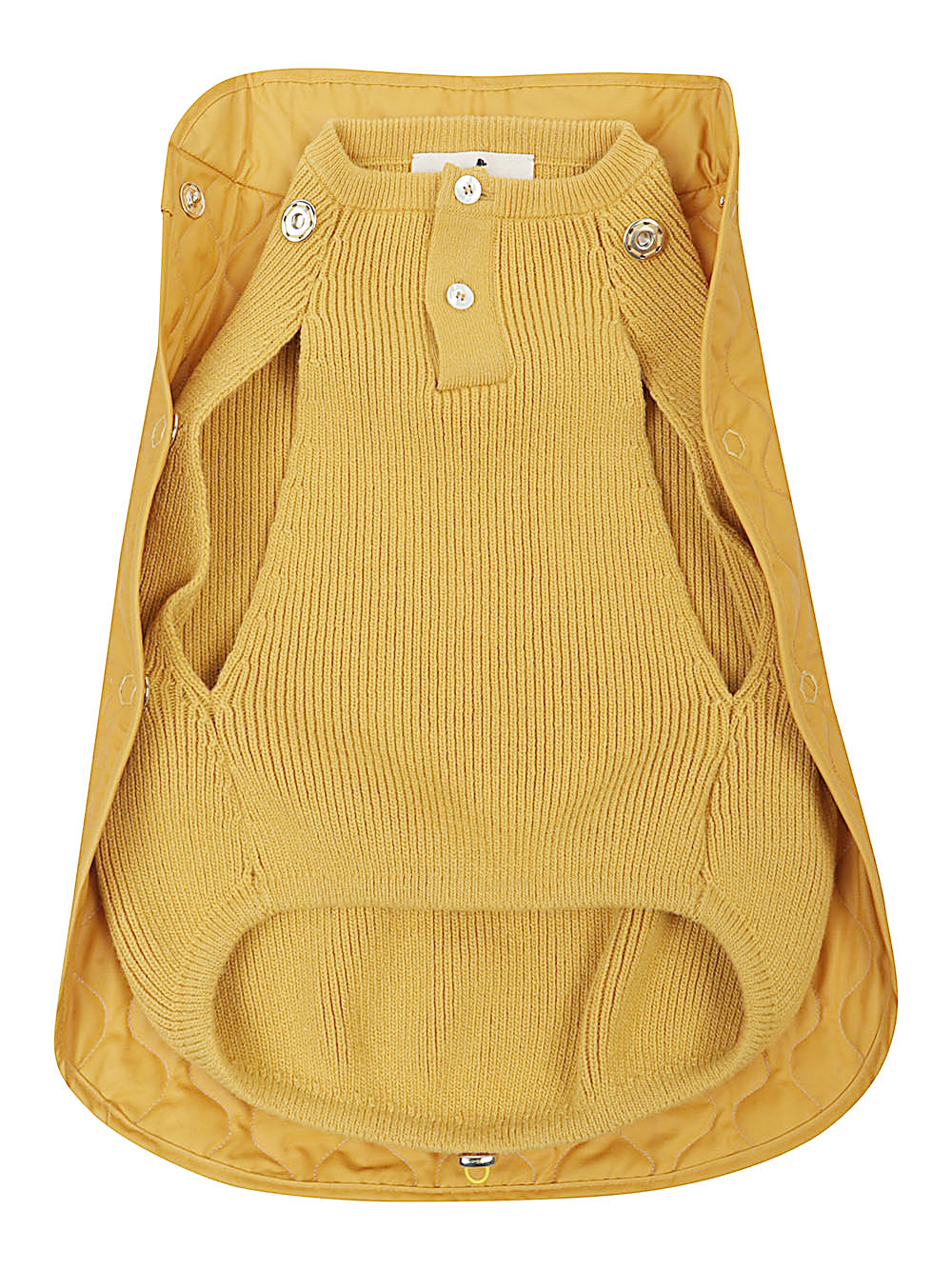 POLDO DOG COUTURE Accessories Orange POLDO DOG COUTURE