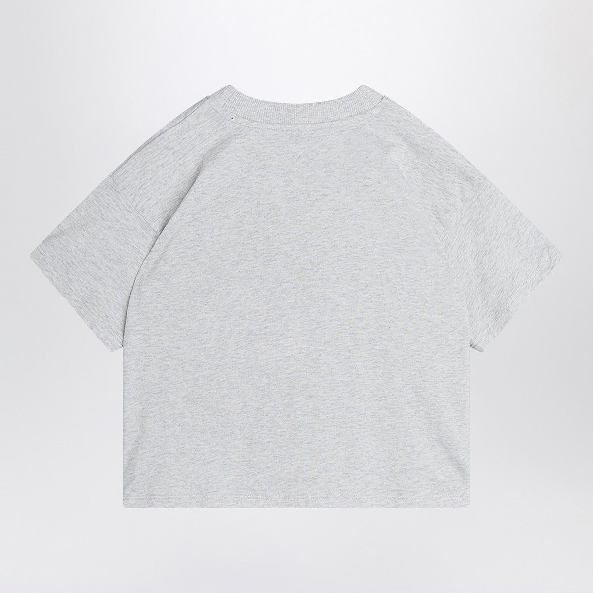 Mini Rodini light grey T-shirt with Flundra print Mini Rodini