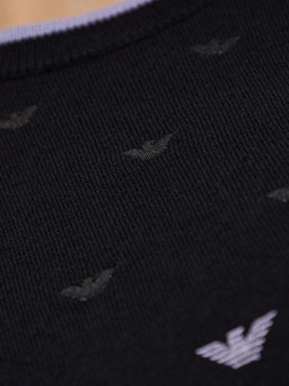 Emporio Armani Jumper with all-over micro eagle embroidery Emporio Armani