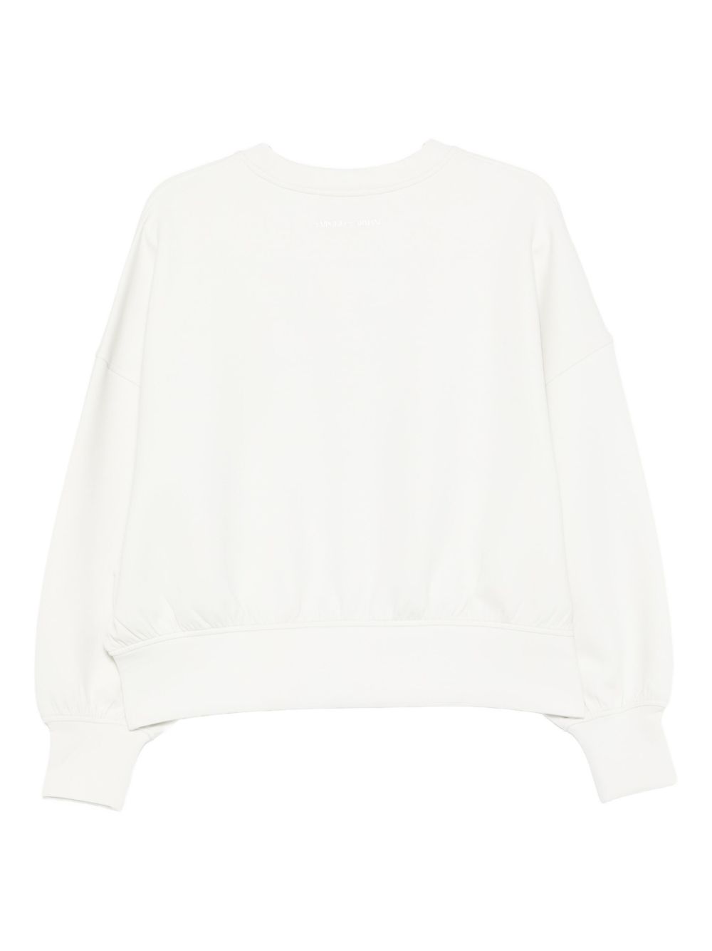 Emporio Armani Crewneck sweatshirt in double jersey with ASV logo embroidery Emporio Armani