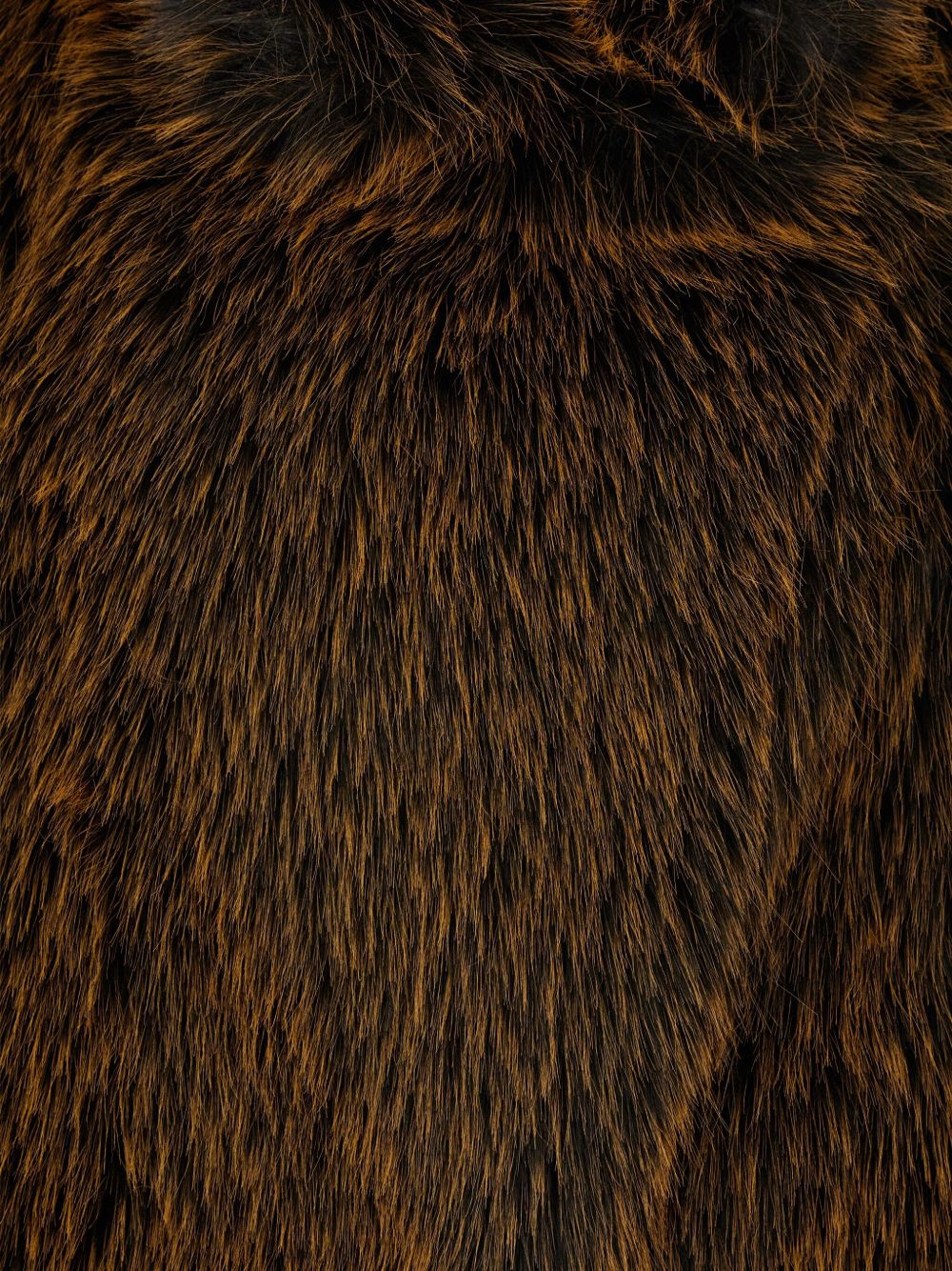 Semicouture Jackets Brown Semicouture 